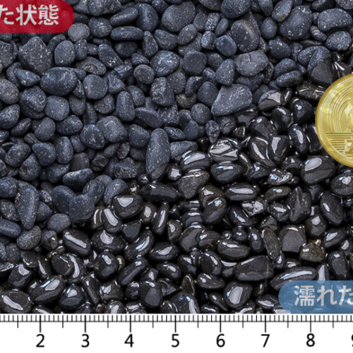 黒龍　1分（6-10mm）