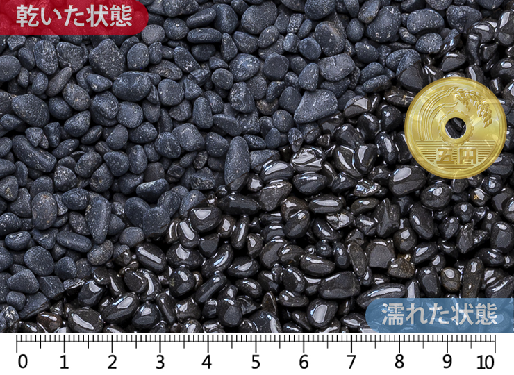 黒龍　1分（6-10mm）