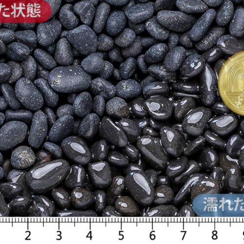 黒龍　2分（8-12mm）