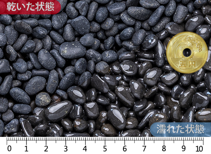 黒龍　2分（8-12mm）