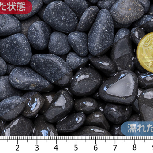 黒龍　3分（15-20mm）