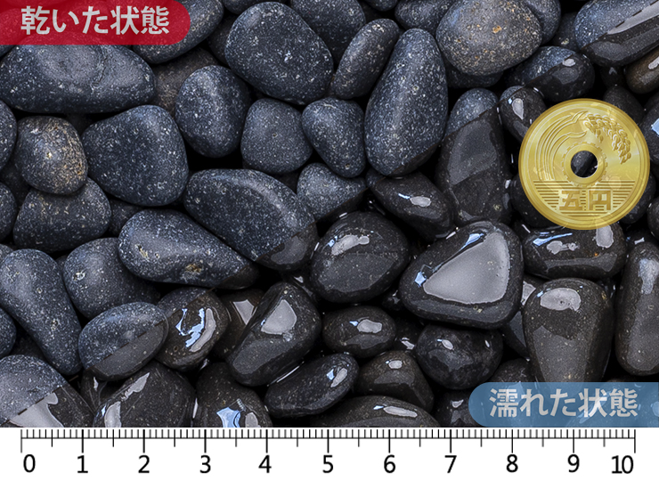 黒龍　3分（15-20mm）