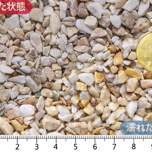 アイボリー （ドライ）　2-6mm