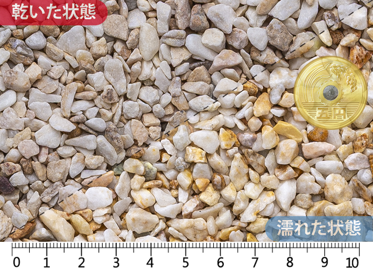 アイボリー （ドライ）　2-6mm