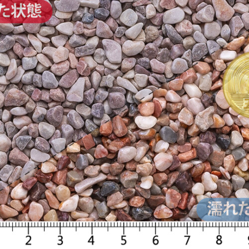 新薄紅 (ドライ)　1分(3-5mm)