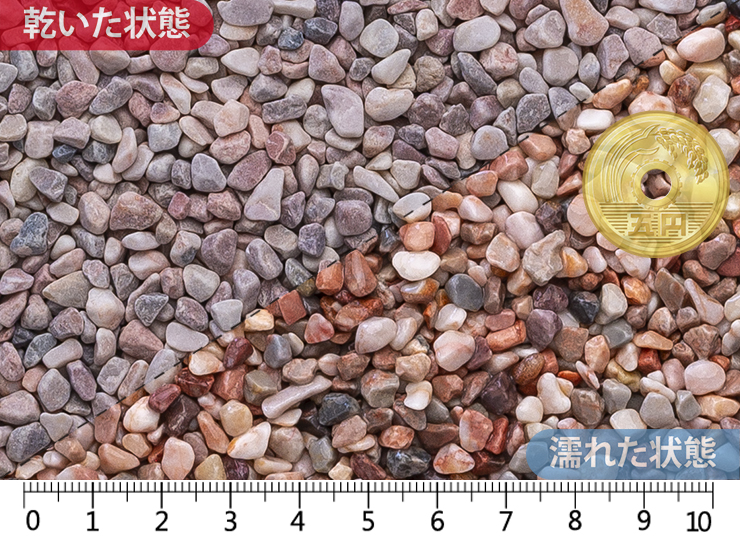 新薄紅 (ドライ)　1分(3-5mm)