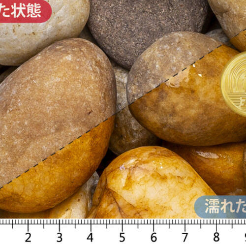 キャメルペブル　L 40-60mm内外