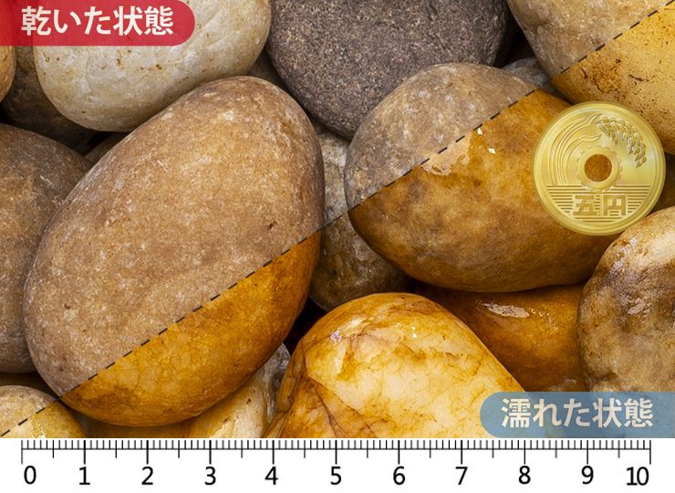 キャメルペブル　L 40-60mm内外