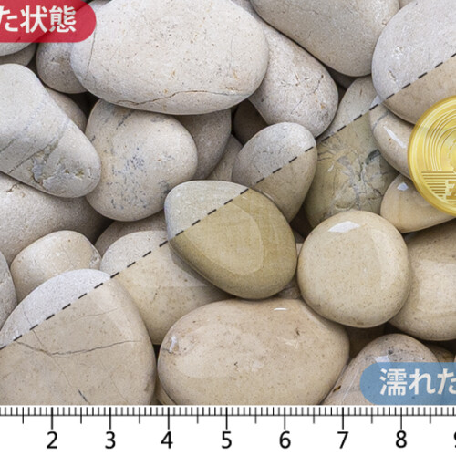 白玉石(砂岩)　20mm内外