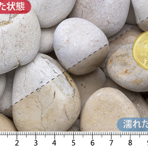 白玉石(砂岩)　50mm内外