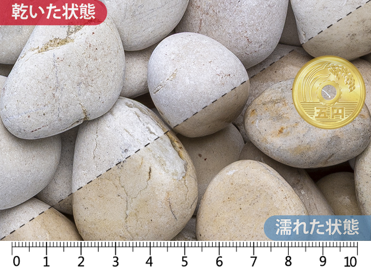 白玉石(砂岩)　50mm内外