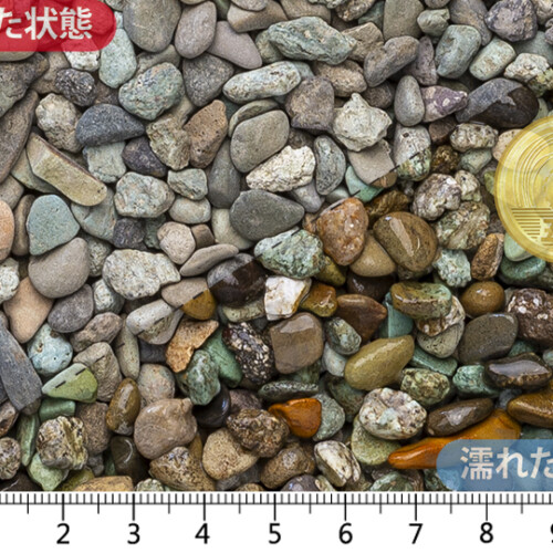 天草2分(5-7㎜)内外