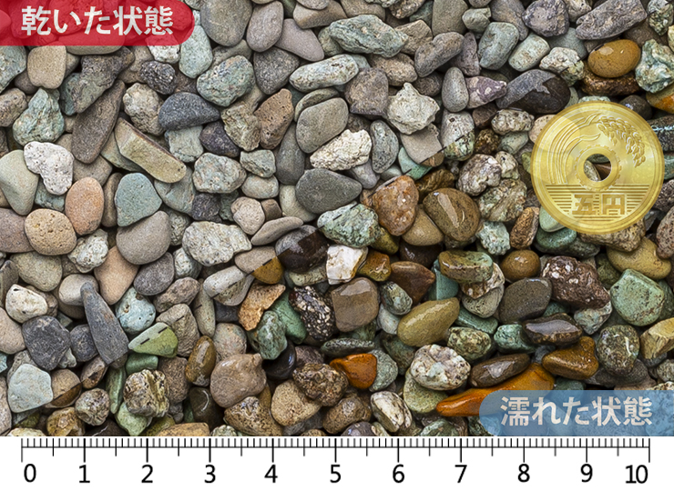 天草2分(5-7㎜)内外