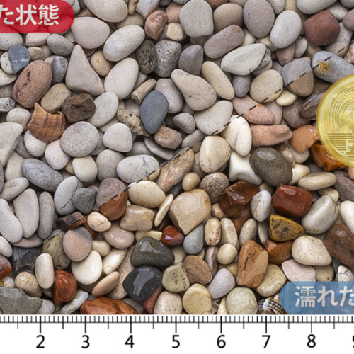 桂林　2分(5-7㎜)内外