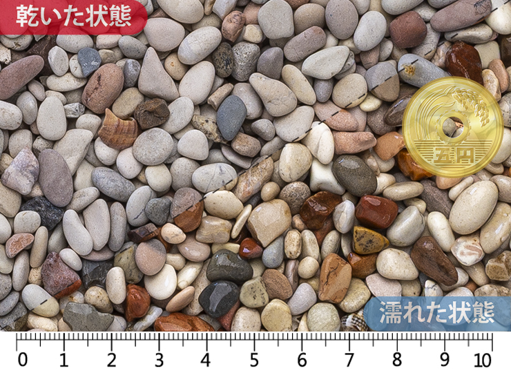 桂林　2分(5-7㎜)内外