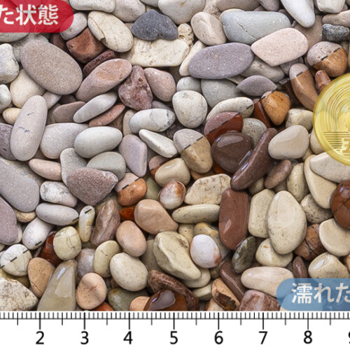 桂林　3分(7-9mm)内外