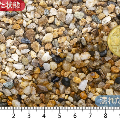 越南部　1分(3-7mm)内外