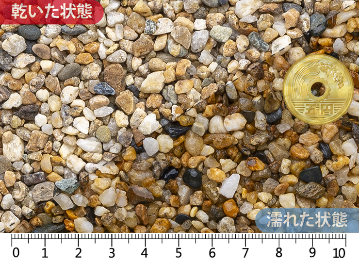 越南部　1分(3-7mm)内外