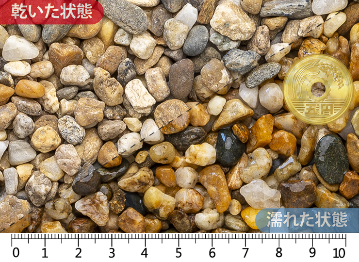 越南部　3分(6-20mm)内外