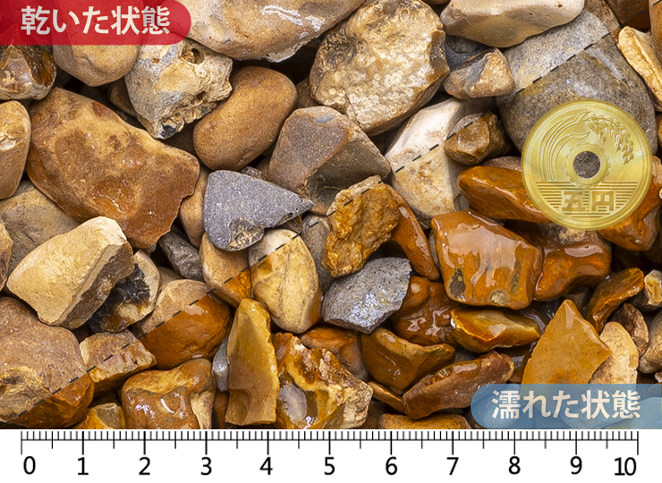 ゴールデン 5-30mm内外