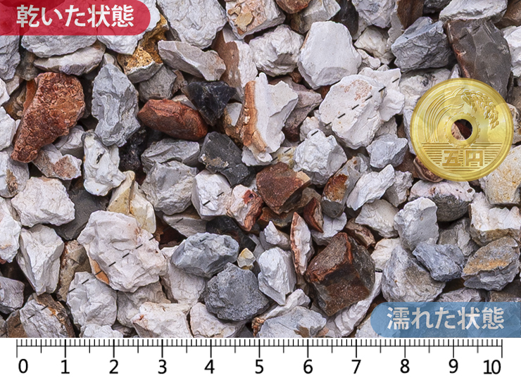 カンタベリースパー 10-20mm内外