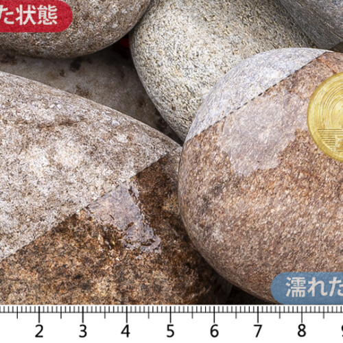 スコティッシュペブル　50-80mm内外