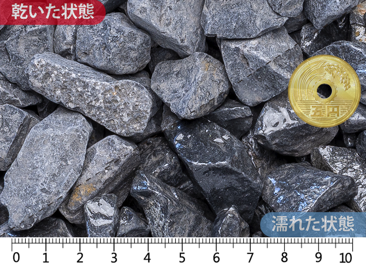 ネロエバーノ　22-30mm内外