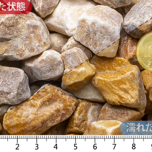 ジアーロシエーナ　22-30mm内外