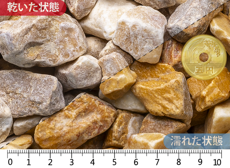 ジアーロシエーナ　22-30mm内外