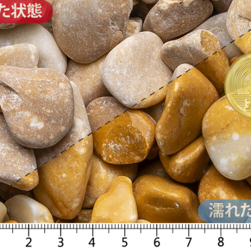 ファリーナ　15-25mm内外