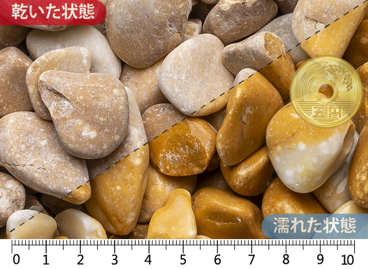 ファリーナ　15-25mm内外