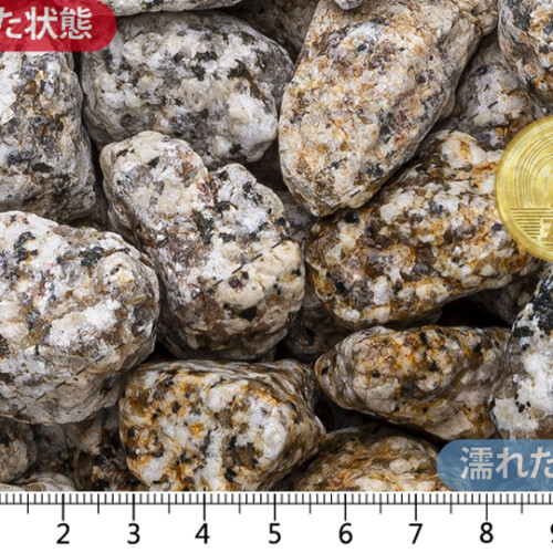 伊勢ゴロタ　1寸(25-40mm)内外