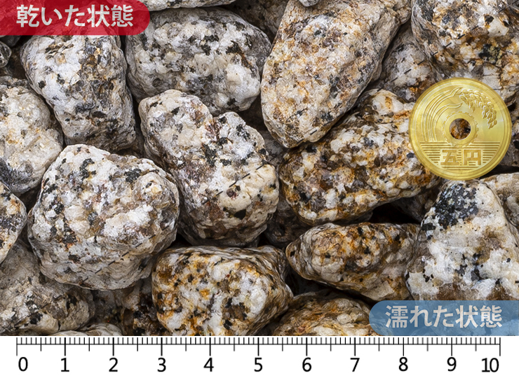 伊勢ゴロタ　1寸(25-40mm)内外