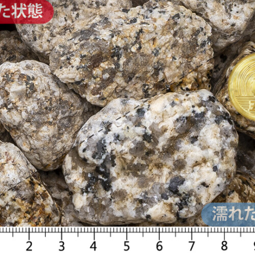 伊勢ゴロタ　1.5寸(40-55mm)内外