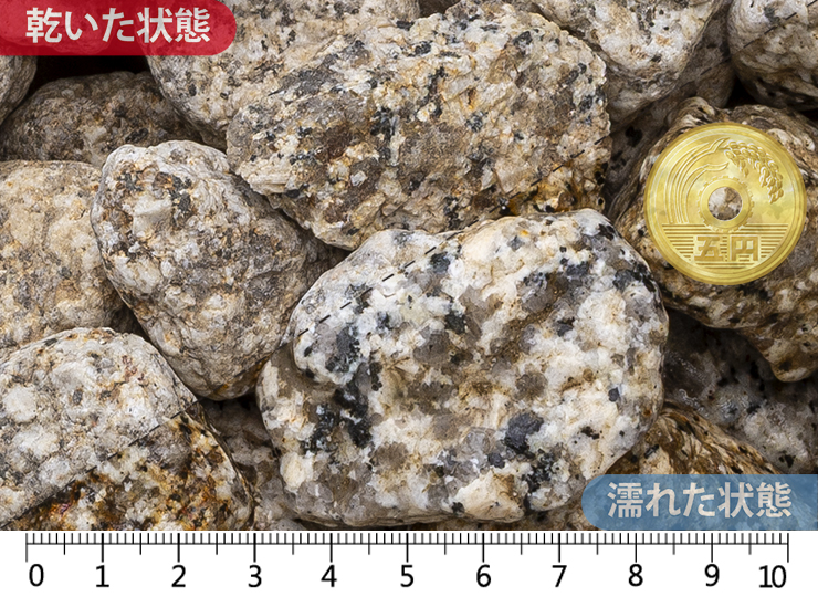 伊勢ゴロタ　1.5寸(40-55mm)内外