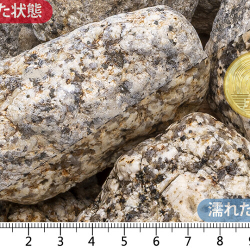 伊勢ゴロタ　2寸(55-70mm)内外