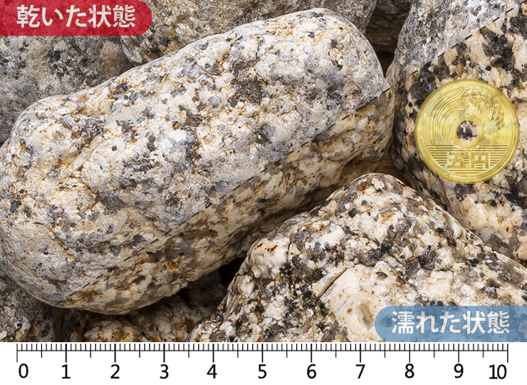 伊勢ゴロタ　2寸(55-70mm)内外