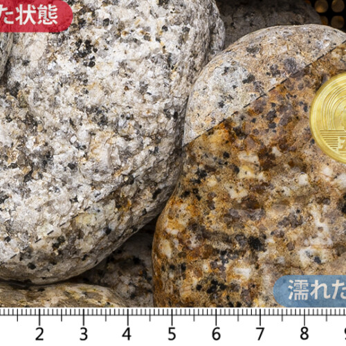 伊勢ゴロタ　3-4寸(90-120mm)内外