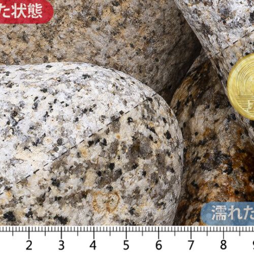 伊勢ゴロタ　5-6寸(150-180mm)内外