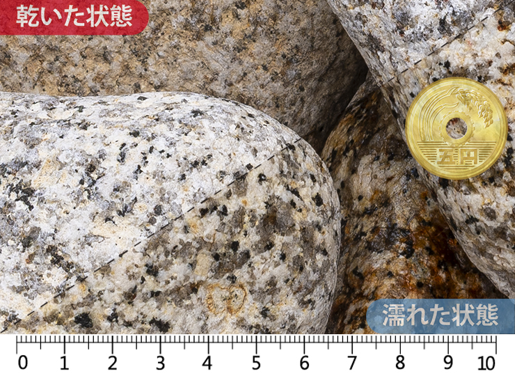 伊勢ゴロタ　5-6寸(150-180mm)内外