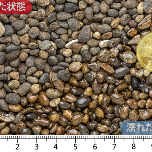 御浜　2分(5-7mm)内外