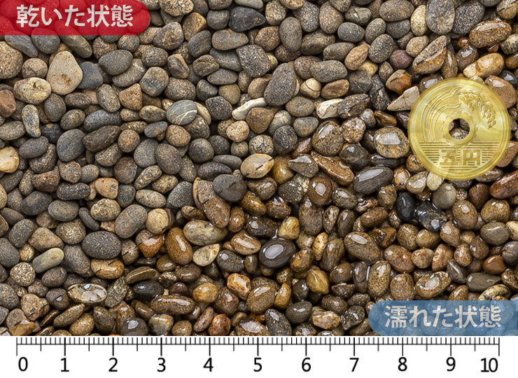 御浜　2分(5-7mm)内外