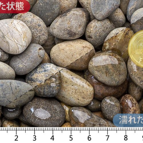 御浜　5分(15-25)mm内外