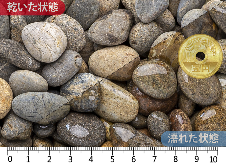 御浜　5分(15-25)mm内外