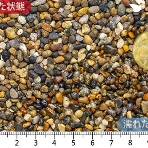 金華　1分(3-9㎜)内外