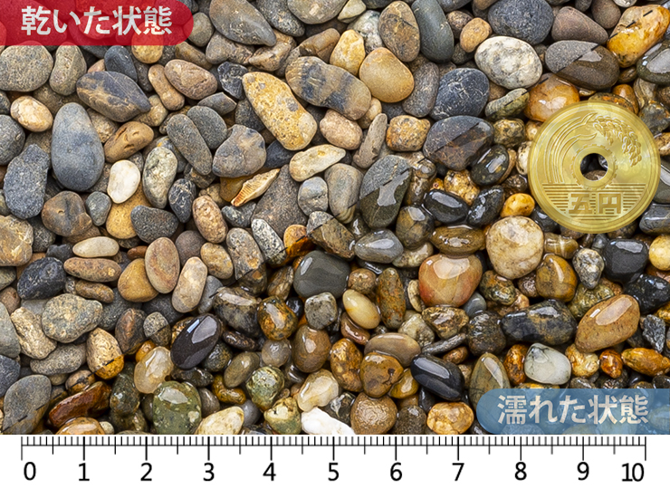 金華　2分(3-12mm)内外