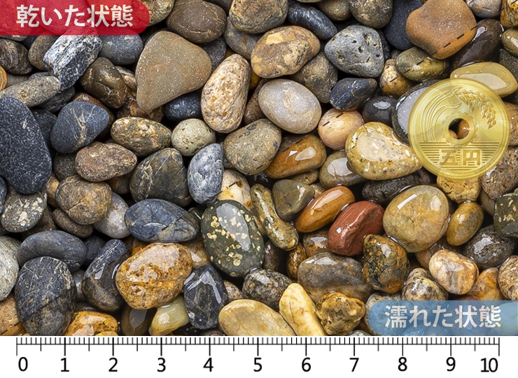 金華　3分(7-20㎜)内外