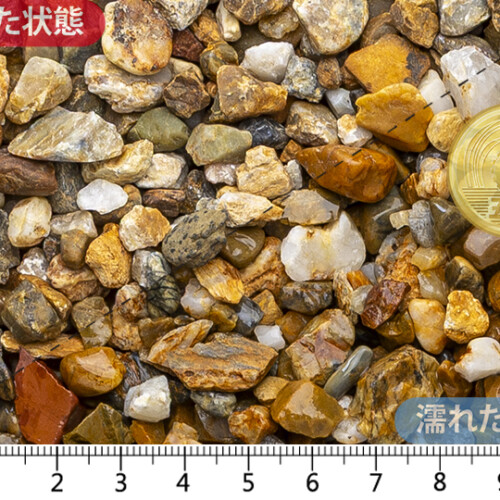 新南部　3分(7-20mm)内外