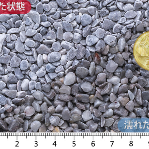 かすみ (ドライ)3-5㎜内外