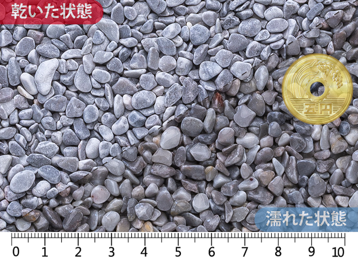 かすみ (ドライ)3-5㎜内外